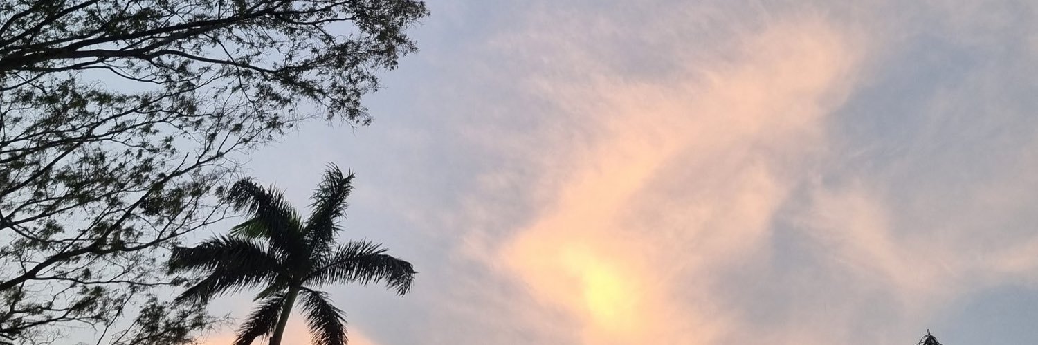 raitoprdise's profile banner image