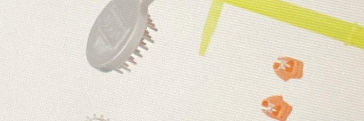 marlene cambucco banner