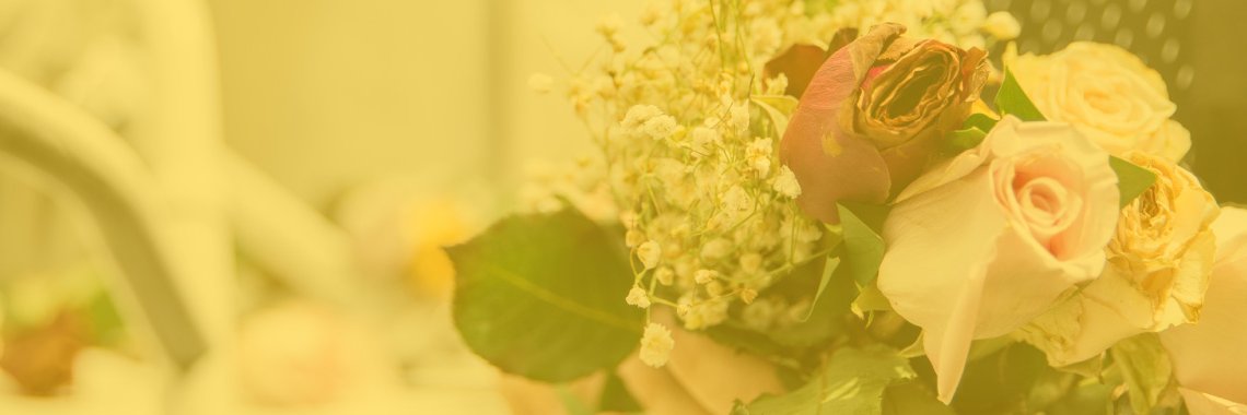 DC Families for Safe Streets banner