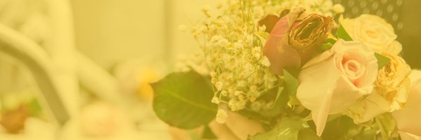 SafeStreetsDC Profile Banner