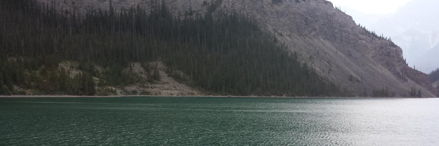 lamgar2010's profile banner image
