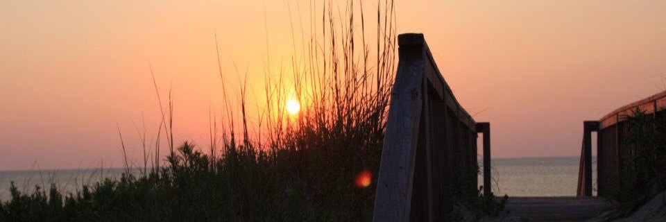 greattt_dane's profile banner image