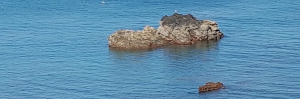 jorge dotres cosio banner