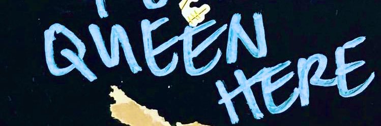 sophie danger banner