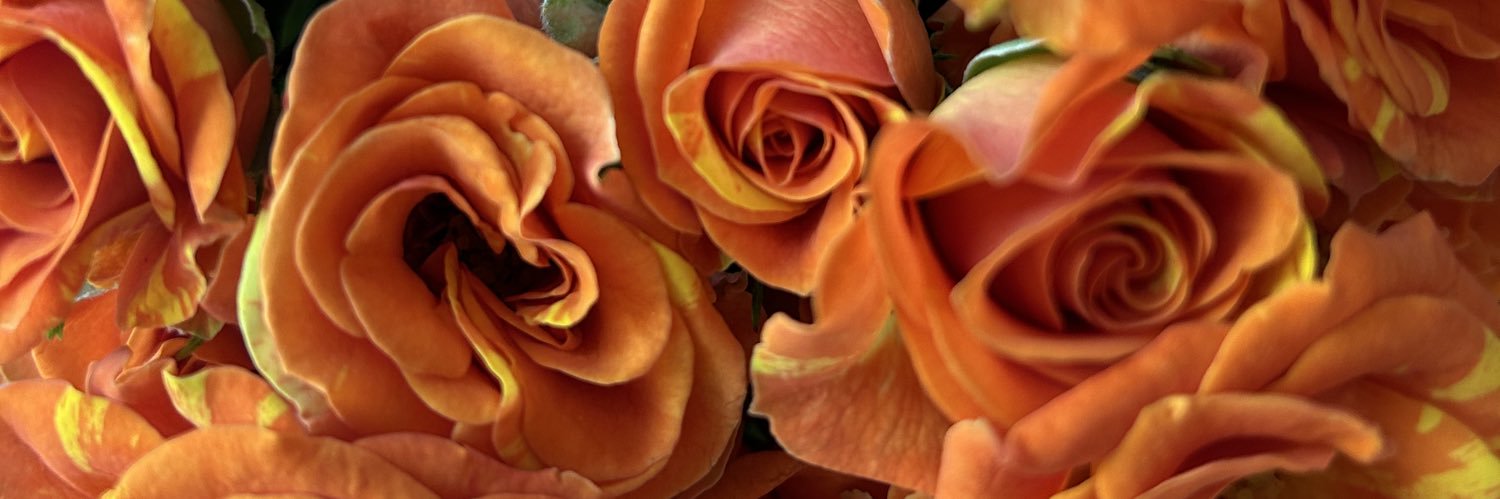 Natalybuzz1997's profile banner image