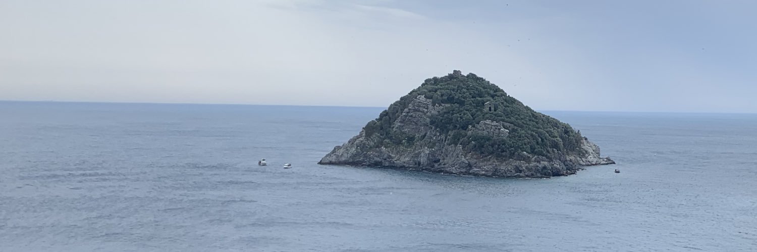 Andrea Ballistri banner