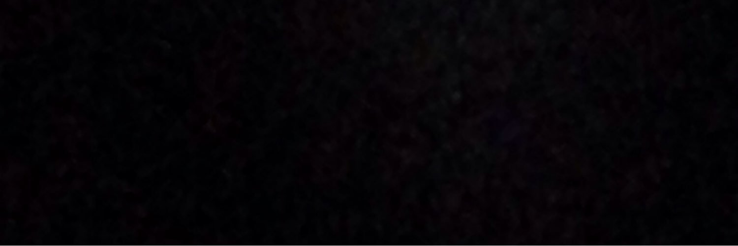 shontinavmuses's profile banner image