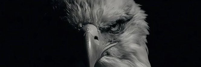 _whoispolete_'s profile banner image