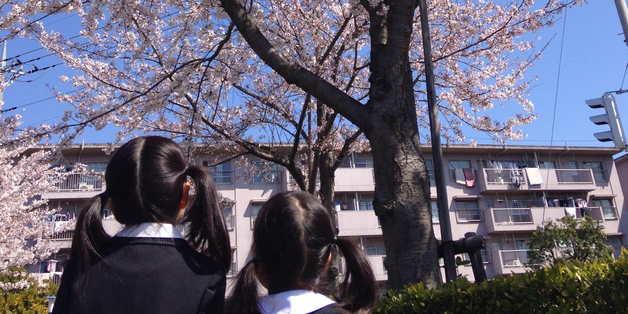 aotanmama's profile banner image