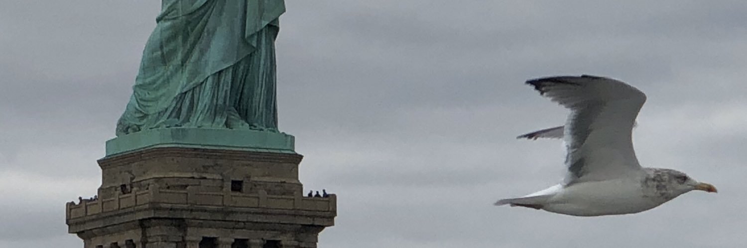 RobGarzaA's profile banner image