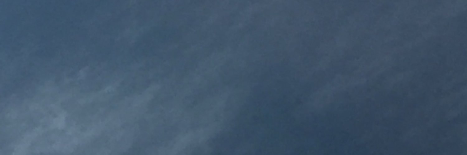 brayman13 banner