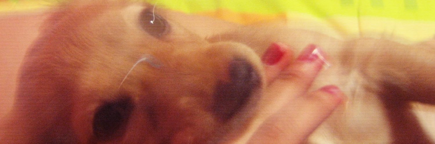 mississues_'s profile banner image
