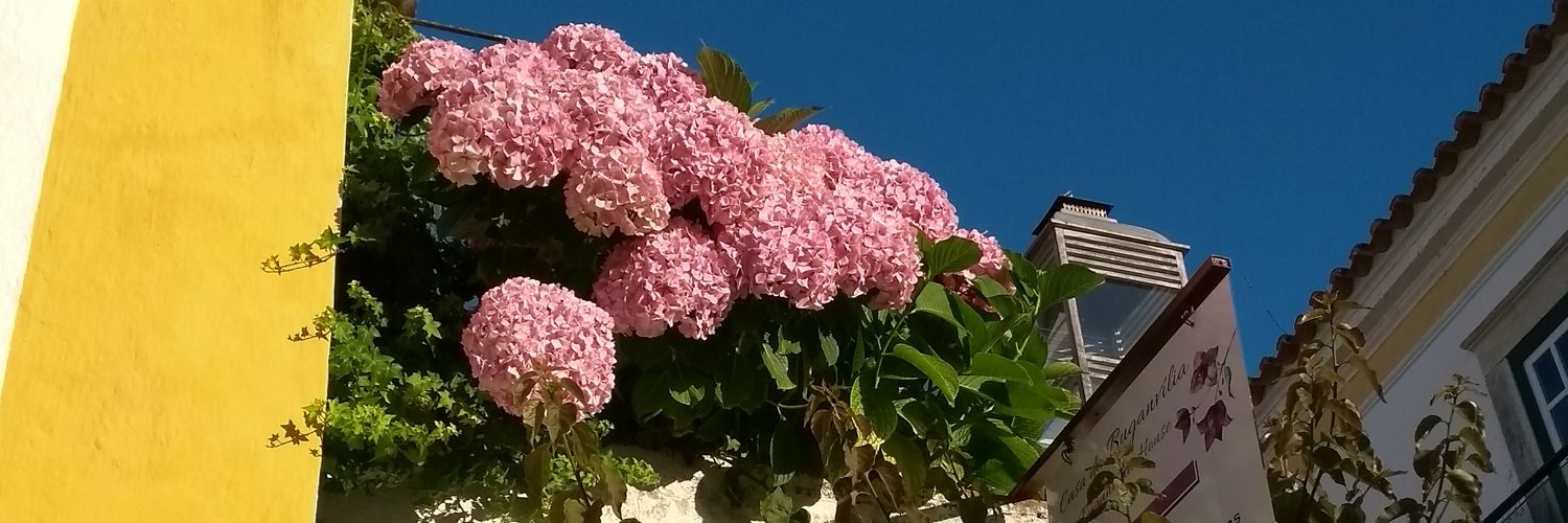 sanac0's profile banner image