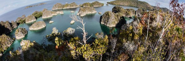 voice4planet Profile Banner