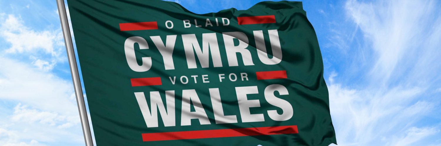 Plaid Cymru Gower banner