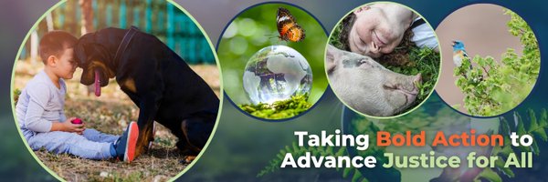 PZInitiative Profile Banner