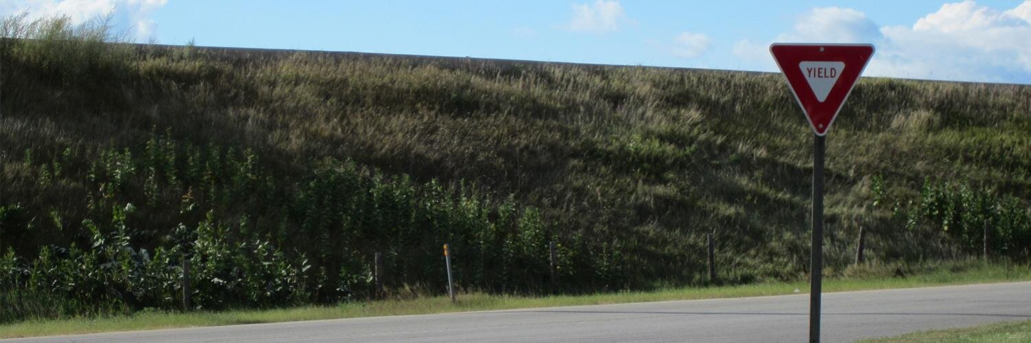eldenb's profile banner image