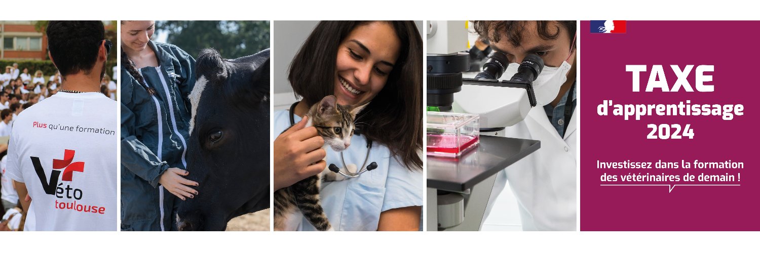 Ecole Nationale Vétérinaire de Toulouse banner