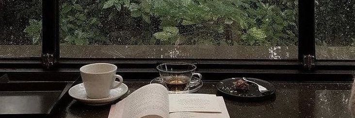 avcadosky's profile banner image
