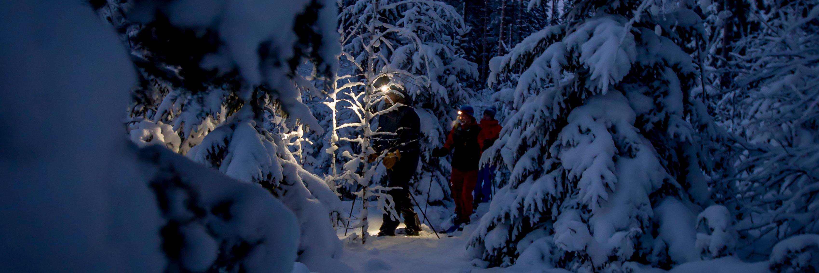 OACFINLAND's profile banner image