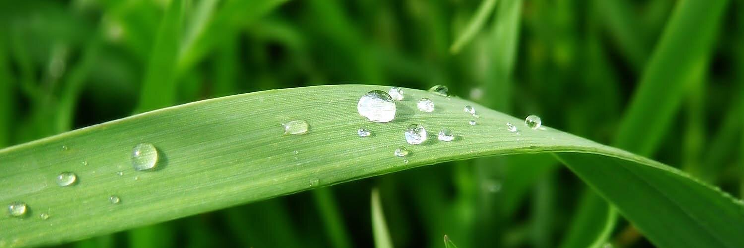 biocomLtd's profile banner image