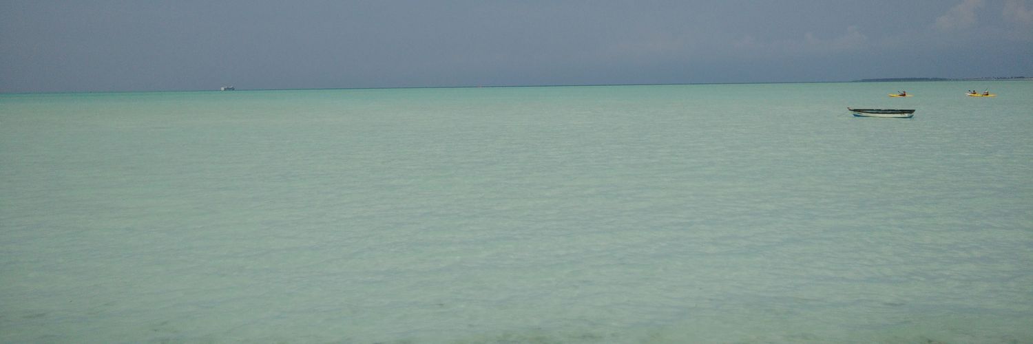 joei5459's profile banner image