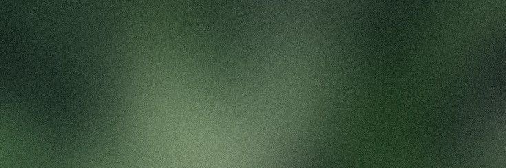 dldanais's profile banner image