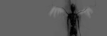 Parsoul banner