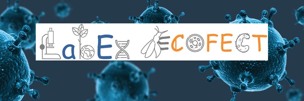 LabEx ECOFECT banner