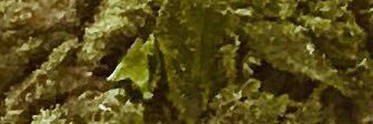 AleJTala's profile banner image