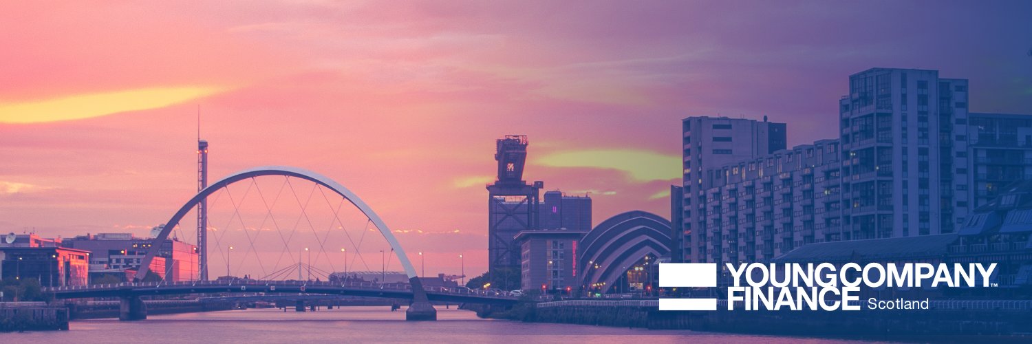 Young Company Finance banner