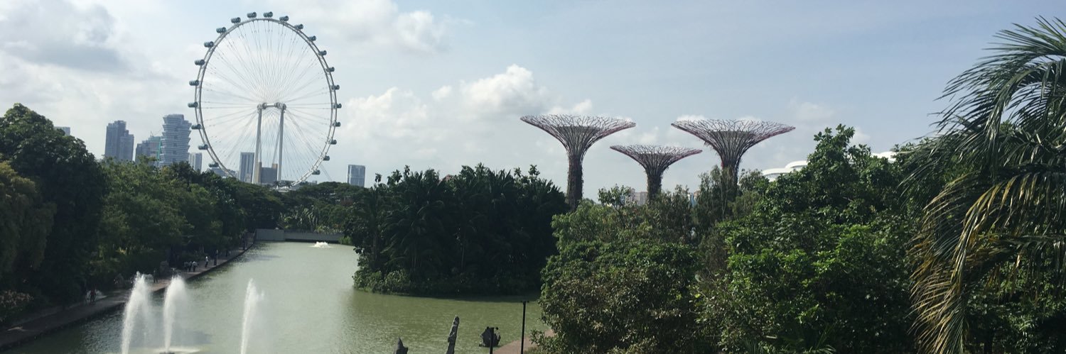 Daniela Pirri banner