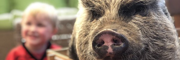 DtrHamilton Profile Banner