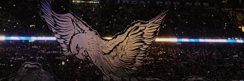soficarvalheiro's profile banner image