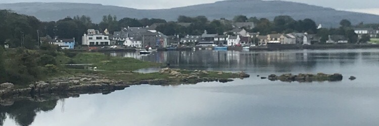 aislinglarkin's profile banner image