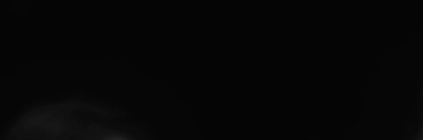 Zen. banner