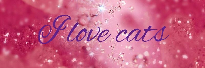 Butterscotch the Cat banner