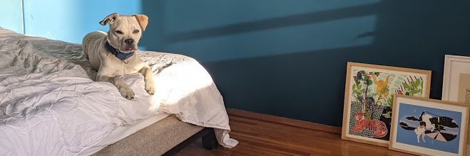 los_angelaaa's profile banner image