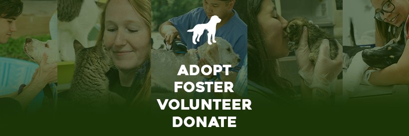 Animal Defense League of Texas banner