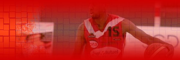 SteMarieMetz's profile banner image