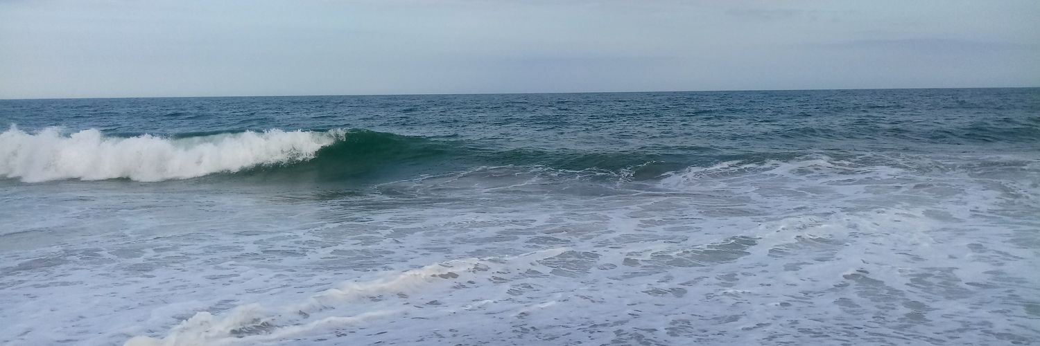 WalshMarcio's profile banner image