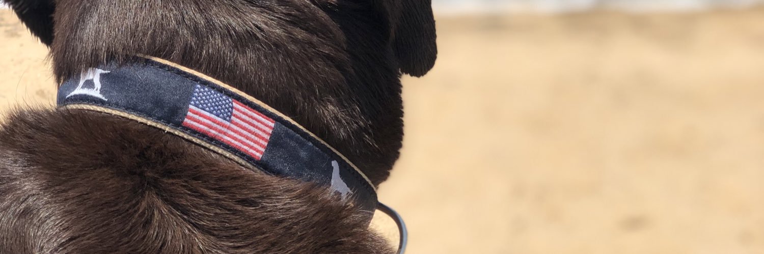 jibsteeza's profile banner image