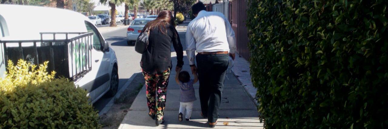 🌳 Vale Paz 🌳 banner