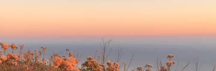 luumdll's profile banner image