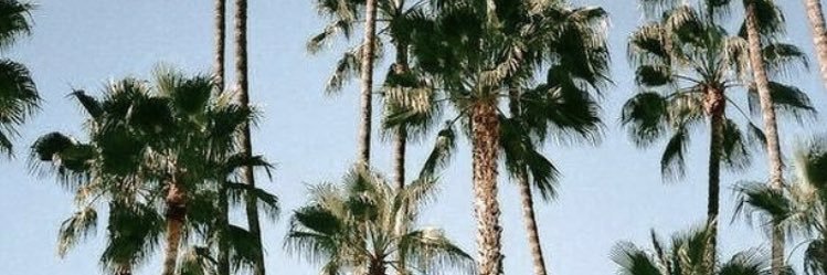 _moruno's profile banner image