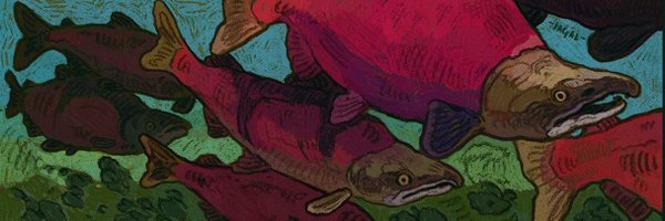 NicoOkapi Profile Banner