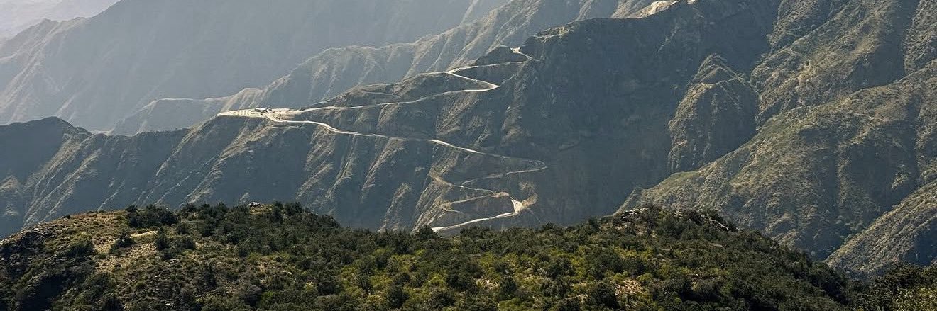 Din banner