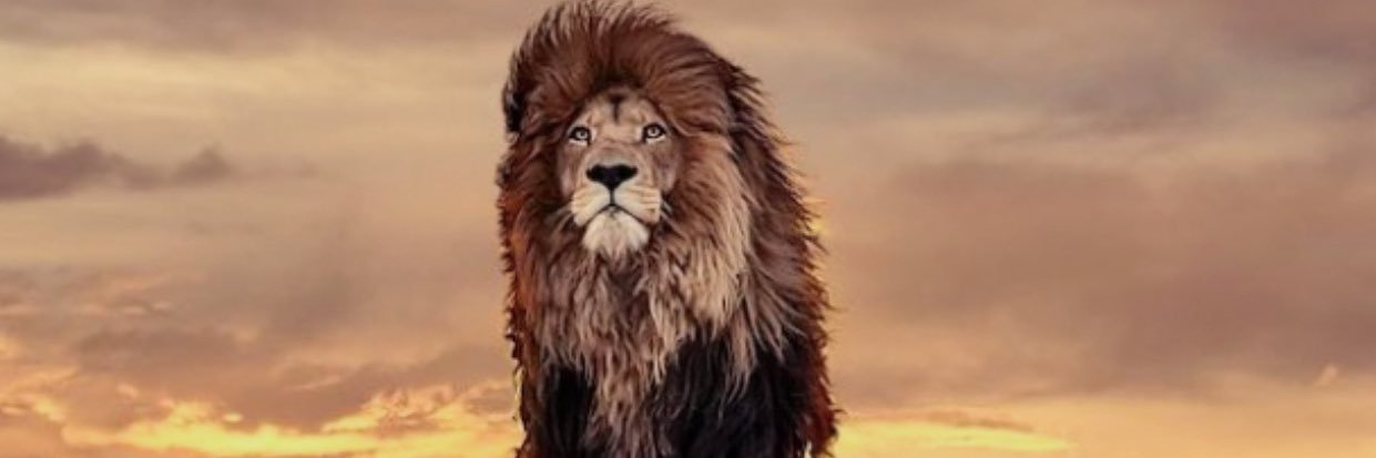 jack_lookabaugh's profile banner image