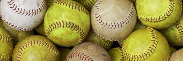 IHartFastpitch Profile Banner