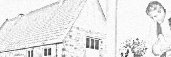 stpeters Profile Banner